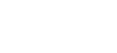 Dizmanlar Group Form Prime Logo